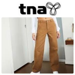 Aritzia Tna Greenwich Pants in Tobacco Brown Wide Leg Carpenter Pant size 2
